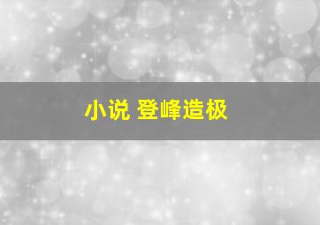 小说 登峰造极